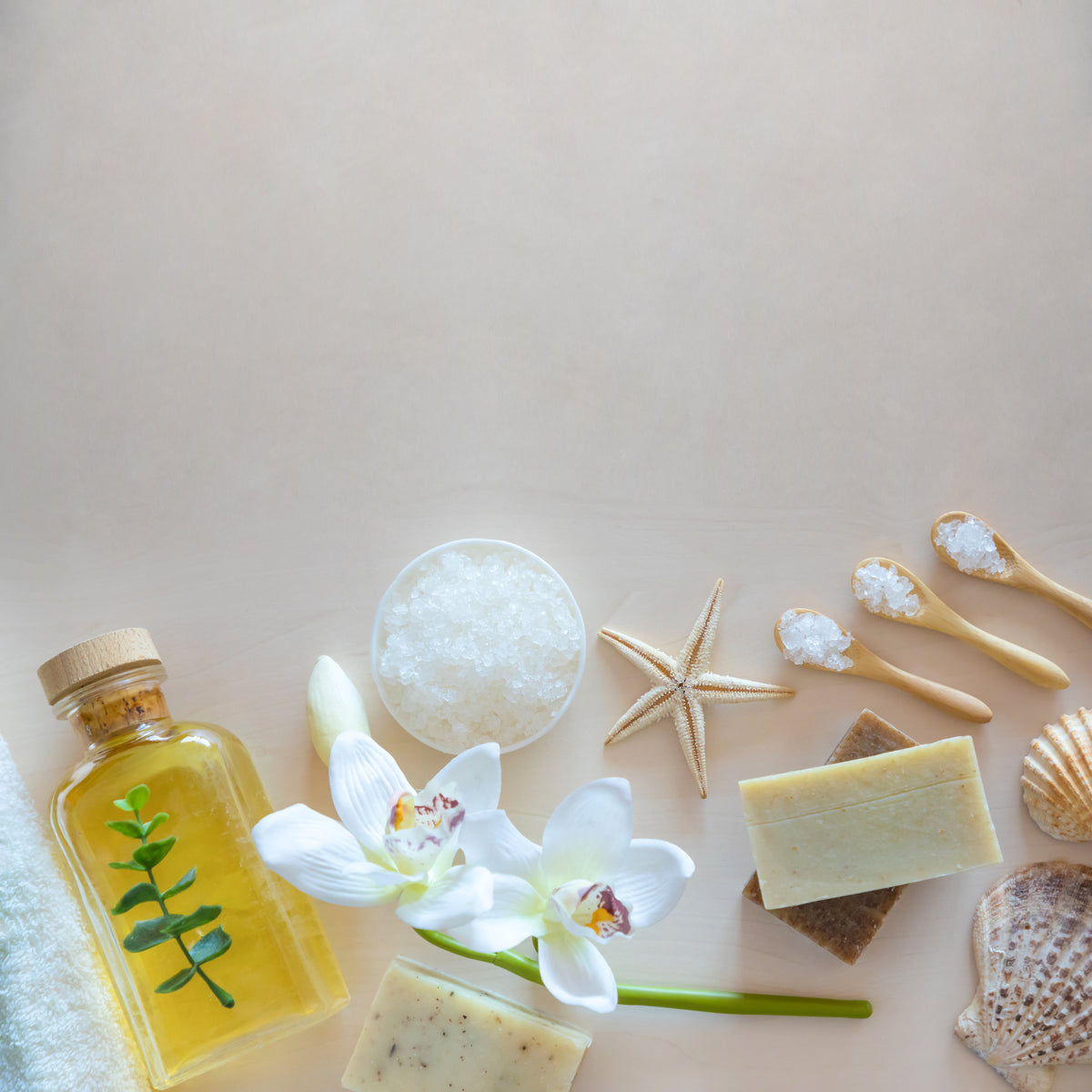Recovery & Wellness